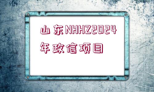 山東NHHZ2024年政信項(xiàng)目