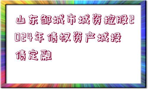 山東鄒城市城資控股2024年債權(quán)資產(chǎn)城投債定融