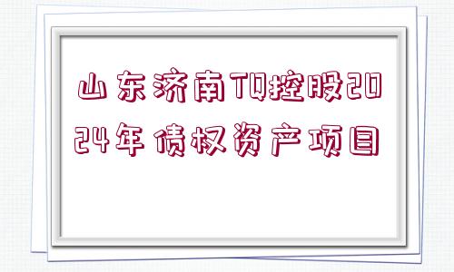 山東濟(jì)南TQ控股2024年債權(quán)資產(chǎn)項目