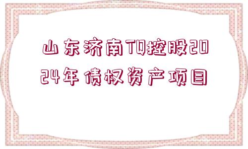 山東濟(jì)南TQ控股2024年債權(quán)資產(chǎn)項(xiàng)目