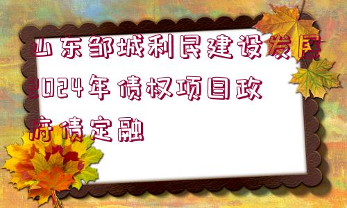 山東鄒城利民建設(shè)發(fā)展2024年債權(quán)項(xiàng)目政府債定融