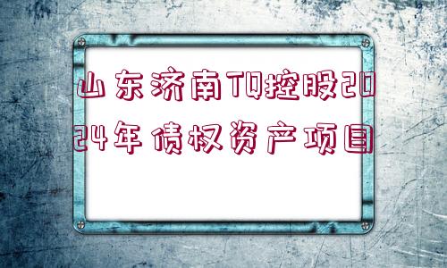 山東濟(jì)南TQ控股2024年債權(quán)資產(chǎn)項(xiàng)目