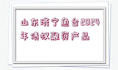 山東濟寧魚臺2024年債權(quán)融資產(chǎn)品