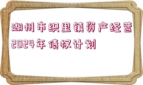 湖州市織里鎮(zhèn)資產(chǎn)經(jīng)營2024年債權(quán)計劃