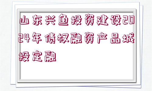 山東興魚投資建設(shè)2024年債權(quán)融資產(chǎn)品城投定融