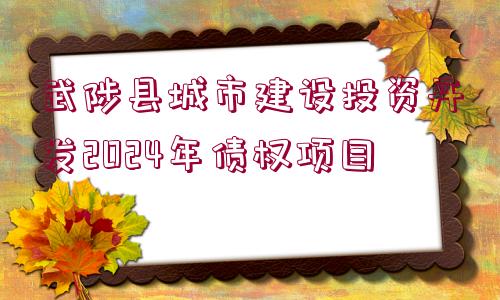 武陟縣城市建設投資開發(fā)2024年債權(quán)項目