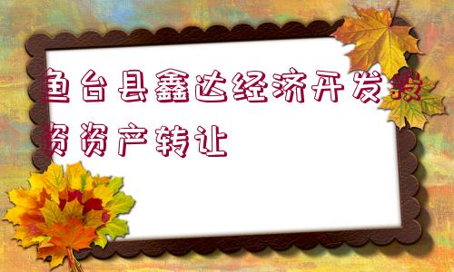 魚臺縣鑫達(dá)經(jīng)濟(jì)開發(fā)投資資產(chǎn)轉(zhuǎn)讓