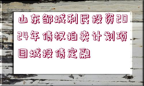 山東鄒城利民投資2024年債權(quán)拍賣計劃項目城投債定融