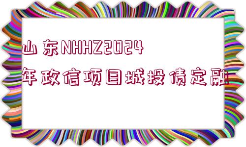 山東NHHZ2024年政信項目城投債定融