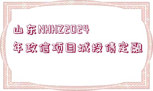 山東NHHZ2024年政信項目城投債定融