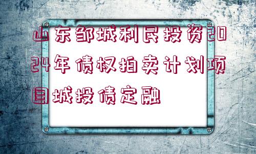 山東鄒城利民投資2024年債權(quán)拍賣計劃項目城投債定融