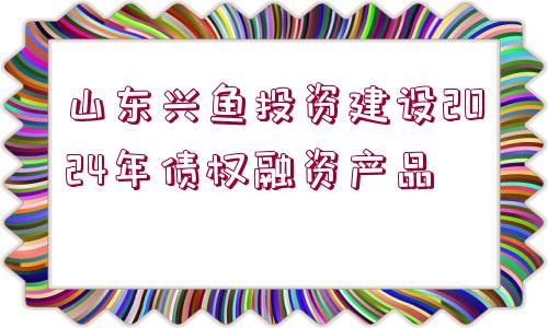 山東興魚投資建設2024年債權融資產品