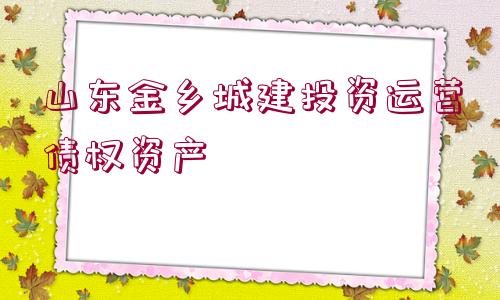 山東金鄉(xiāng)城建投資運(yùn)營債權(quán)資產(chǎn)