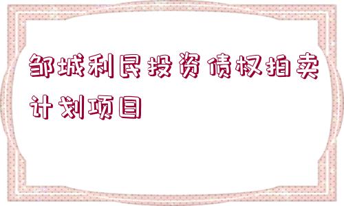 鄒城利民投資債權拍賣計劃項目