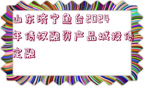 山東濟寧魚臺2024年債權融資產(chǎn)品城投債定融