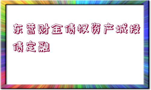 東營財金債權(quán)資產(chǎn)城投債定融