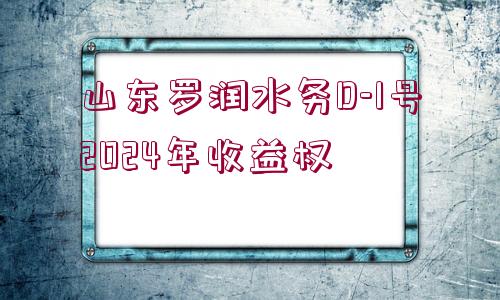 山東羅潤水務(wù)D-1號2024年收益權(quán)