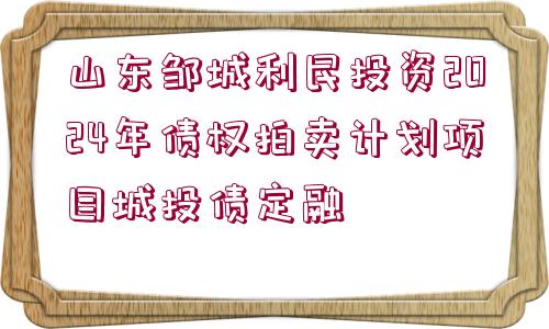 山東鄒城利民投資2024年債權(quán)拍賣計(jì)劃項(xiàng)目城投債定融