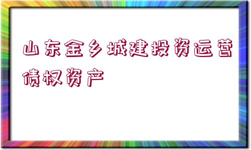 山東金鄉(xiāng)城建投資運營債權資產(chǎn)