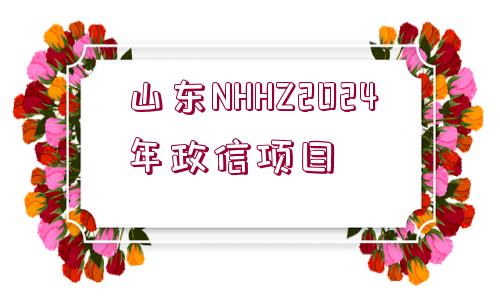 山東NHHZ2024年政信項(xiàng)目