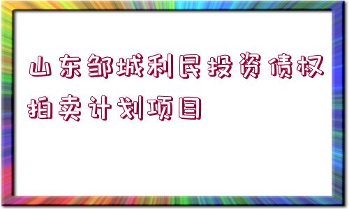 山東鄒城利民投資債權(quán)拍賣計劃項目