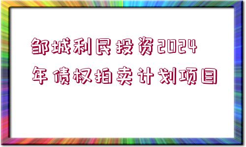 鄒城利民投資2024年債權(quán)拍賣計(jì)劃項(xiàng)目