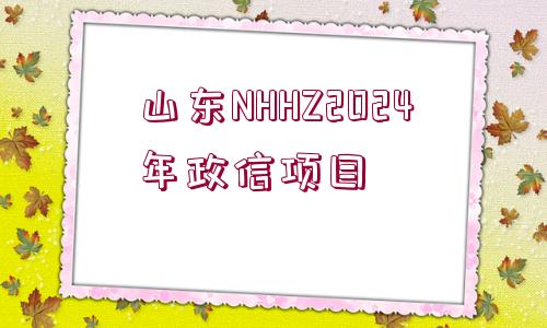 山東NHHZ2024年政信項(xiàng)目