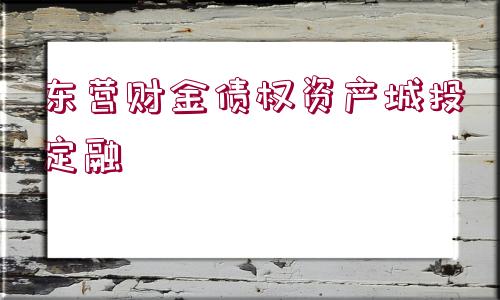 東營(yíng)財(cái)金債權(quán)資產(chǎn)城投定融