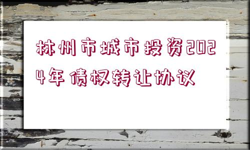 林州市城市投資2024年債權(quán)轉(zhuǎn)讓協(xié)議