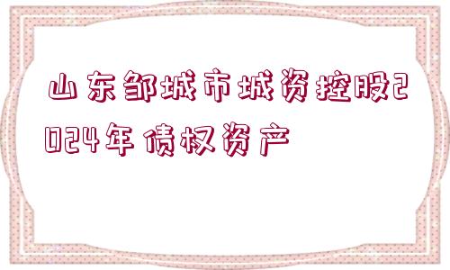 山東鄒城市城資控股2024年債權資產(chǎn)