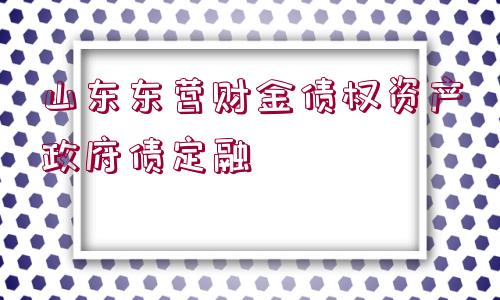 山東東營財金債權(quán)資產(chǎn)政府債定融