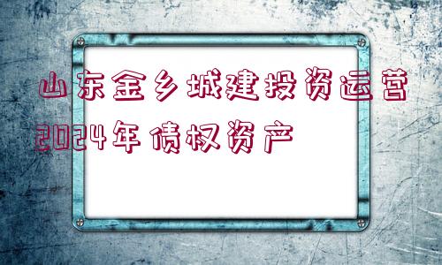 山東金鄉(xiāng)城建投資運營2024年債權(quán)資產(chǎn)