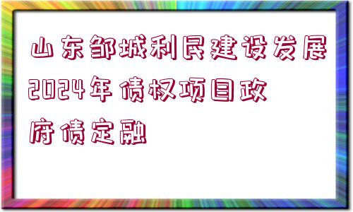 山東鄒城利民建設(shè)發(fā)展2024年債權(quán)項(xiàng)目政府債定融