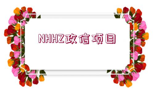 NHHZ政信項目