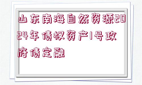 山東南海自然資源2024年債權(quán)資產(chǎn)1號(hào)政府債定融