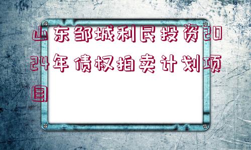 山東鄒城利民投資2024年債權(quán)拍賣計劃項目