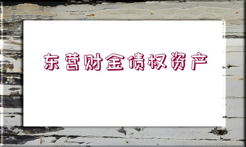 東營(yíng)財(cái)金債權(quán)資產(chǎn)