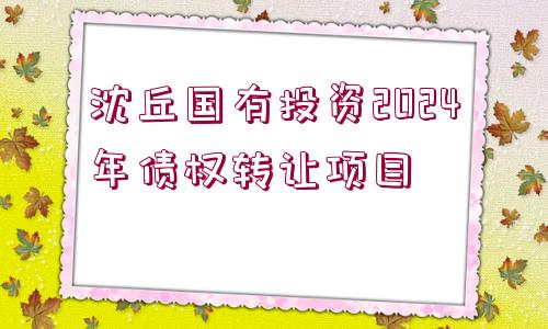 沈丘國(guó)有投資2024年債權(quán)轉(zhuǎn)讓項(xiàng)目