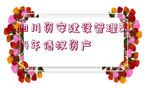 四川資安建設管理2024年債權資產