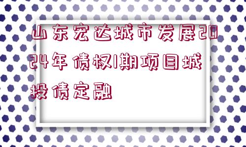 山東宏達城市發(fā)展2024年債權(quán)1期項目城投債定融