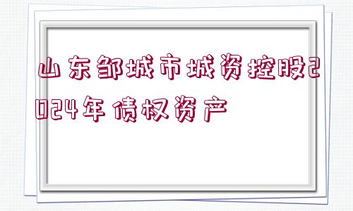 山東鄒城市城資控股2024年債權(quán)資產(chǎn)