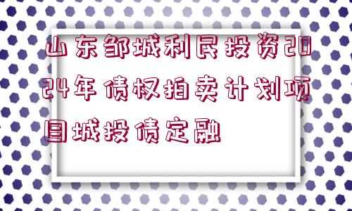 山東鄒城利民投資2024年債權(quán)拍賣計(jì)劃項(xiàng)目城投債定融