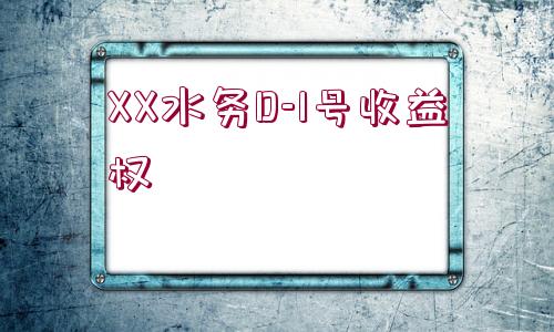 XX水務(wù)D-1號(hào)收益權(quán)