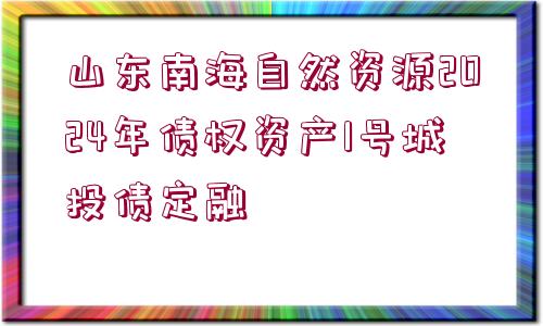 山東南海自然資源2024年債權(quán)資產(chǎn)1號城投債定融