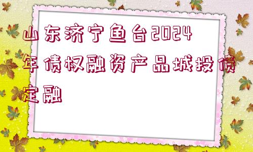 山東濟寧魚臺2024年債權融資產品城投債定融