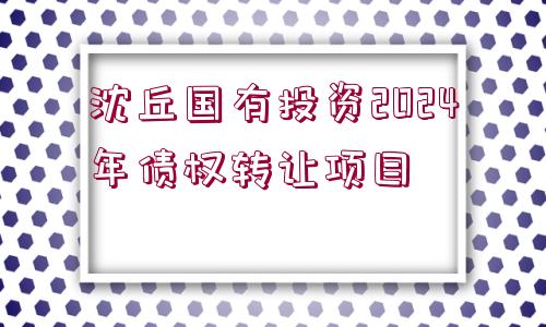 沈丘國有投資2024年債權(quán)轉(zhuǎn)讓項(xiàng)目