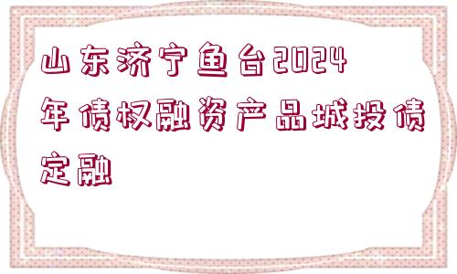 山東濟(jì)寧魚臺2024年債權(quán)融資產(chǎn)品城投債定融