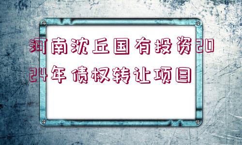 河南沈丘國(guó)有投資2024年債權(quán)轉(zhuǎn)讓項(xiàng)目