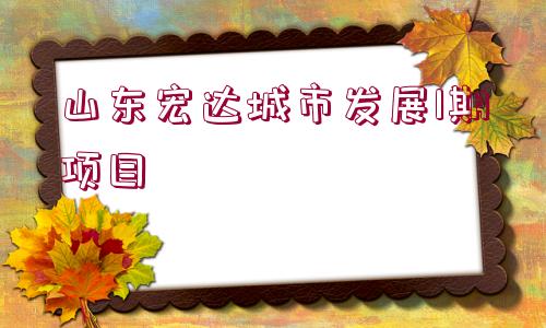 山東宏達城市發(fā)展1期項目