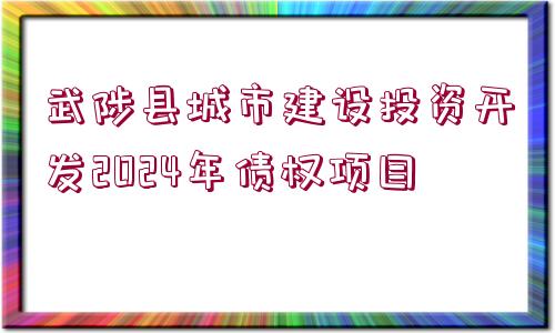 武陟縣城市建設投資開發(fā)2024年債權(quán)項目